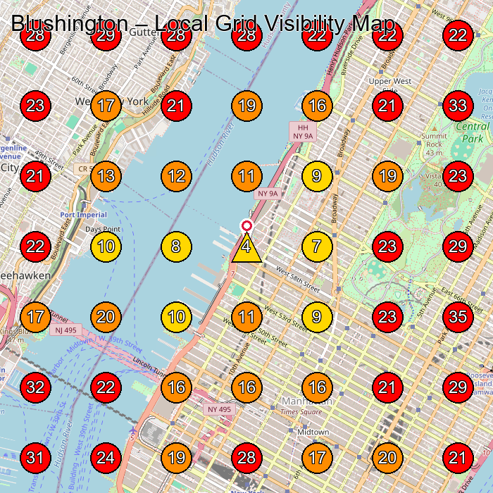 Blushington GeoGrid visibility map for Beauty Salon in New York